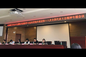 我所团委组织团员参加学习云南省卫生计生委机关团委召开的学习贯彻团十八大精神专题会议