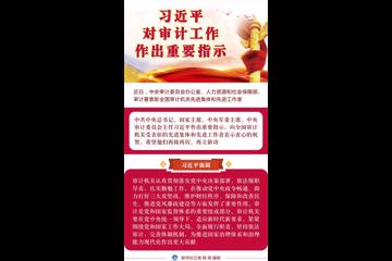 习近平对审计工作作出重要指示强调 紧紧围绕党和国家工作大局 全面履行职责坚持依法审计完善体制机制