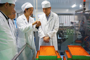 科技部重大专项办杨哲副主任一行到我所进行Sabin IPV及EV71疫苗相关情况的调研