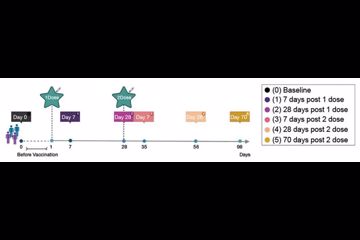 《自然》新研究证实 mRNA疫苗对德尔塔等16种变异新冠病毒有效