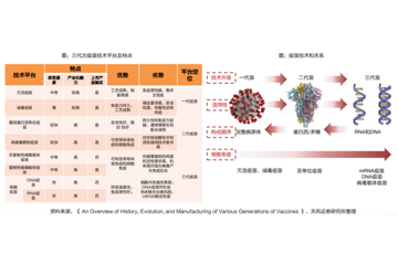 疫苗将无效？未来将诞生大量长牛的超强赛道，对抗“新毒王”只需3个月！