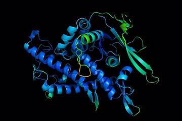 《科学》年度突破揭晓！解决50年生物学难题 它改变了一个领域