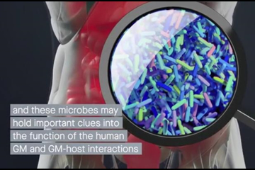 中科院微生物所建成人肠道菌株资源库