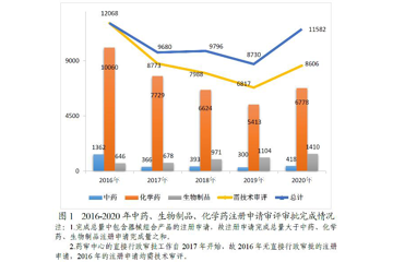 2020年度药品审评报告