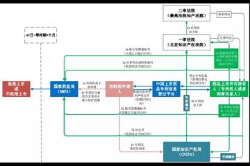 创新药织密知识产权保护网，新专利制度对药物研发有何影响？