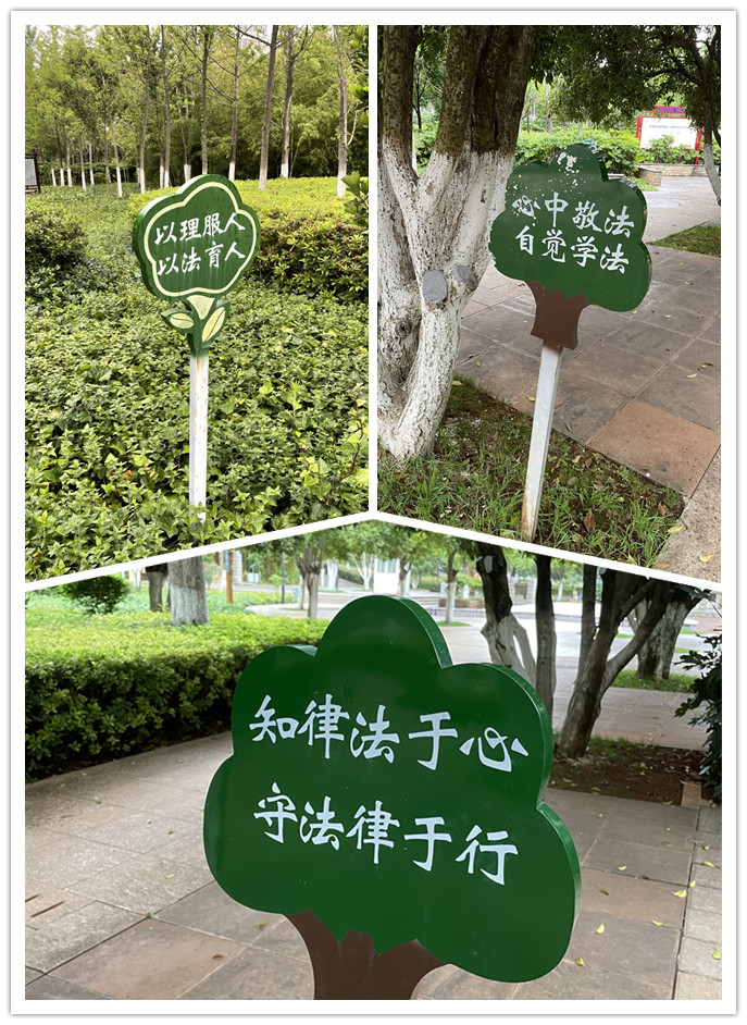 d92f0cc88a4c45d9af97f4bacebc8476.jpg