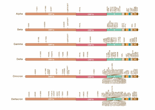 09dbc07e49a345d9a3de36f149d79aef.png