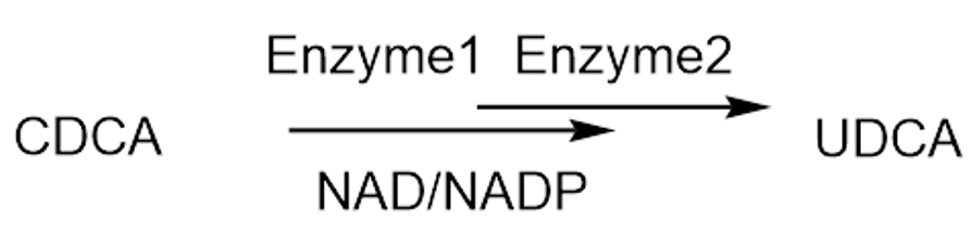 45c5bade8fa54f94bdef778a1e01c74a.png