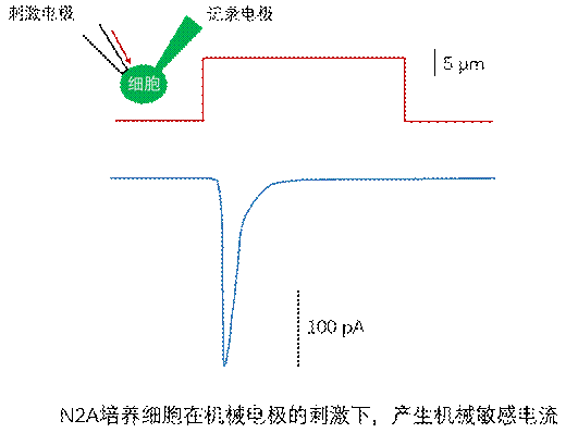 1929bf1d27b844fd928558a2fad54440.gif