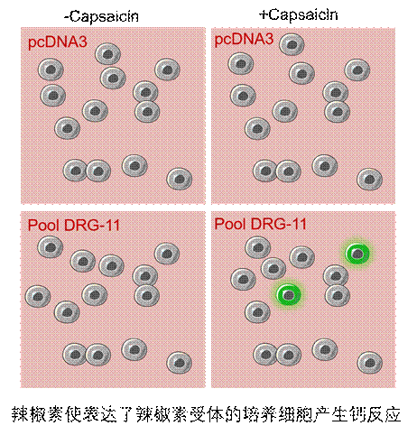 c8b462ff54ae424ab668e4cac4d1248b.gif