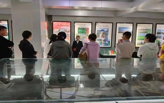 图片5