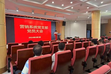 营销系统召开党支部党员大会并 集中学习《中国共产党纪律处分条例》