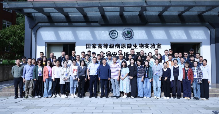 图片9